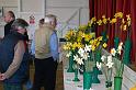 Lots of daffs